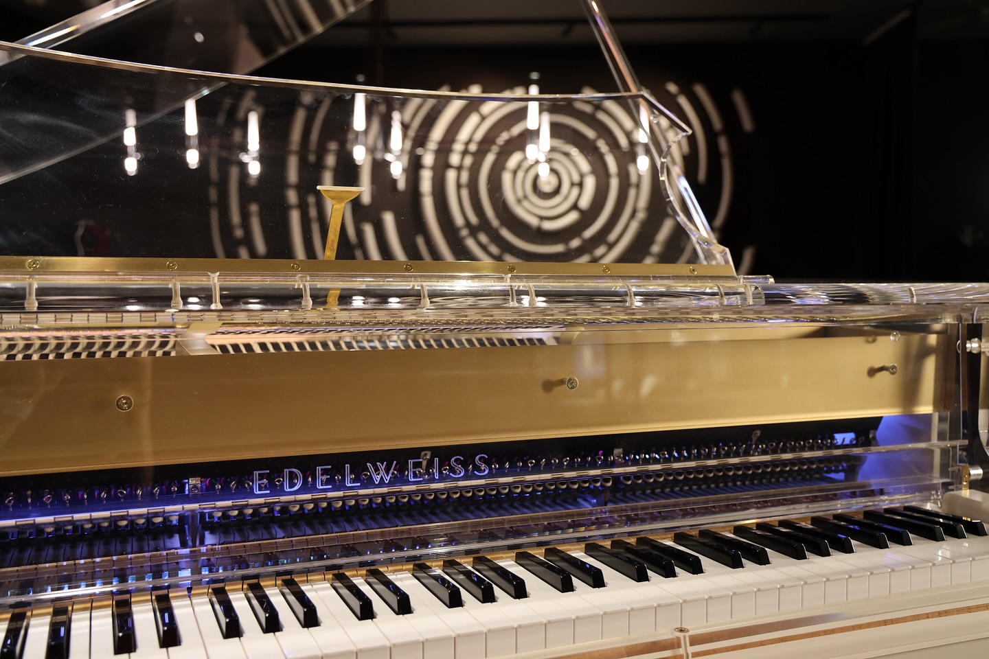 A clear grand piano labeled EDELWEISS is shown close up, with visible strings and keys. In the background, modern circular lights are hanging on a dark wall.